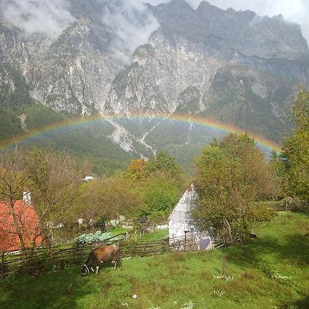 Bujtina Milani Bed & Breakfast Theth Dış mekan fotoğraf