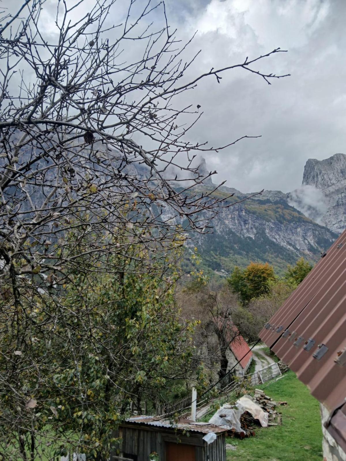 Bujtina Milani Bed & Breakfast Theth Dış mekan fotoğraf